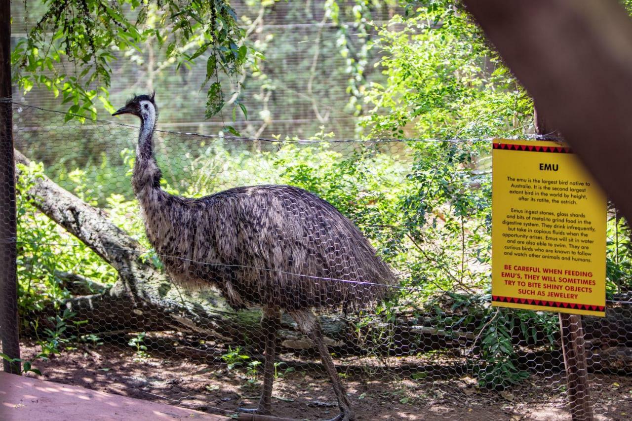Gooderson Dumazulu Lodge Hluhluwe Ngoại thất bức ảnh